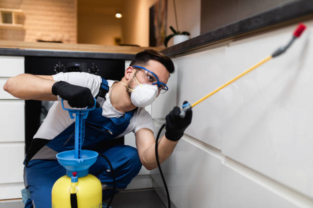 Best Pest Prevention Services  in Montrose, CO