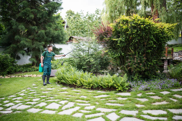 Best Exterminator Services  in Montrose, CO