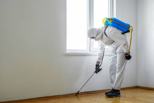 Best Affordable Pest Control Services  in Montrose, CO