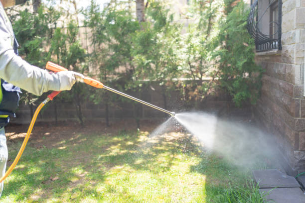 Best Local Pest Control Services  in Montrose, CO
