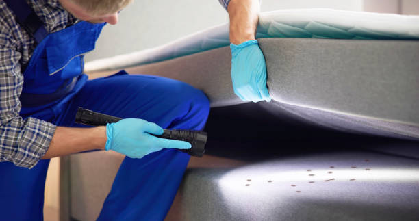 Best Residential Pest Control  in Montrose, CO