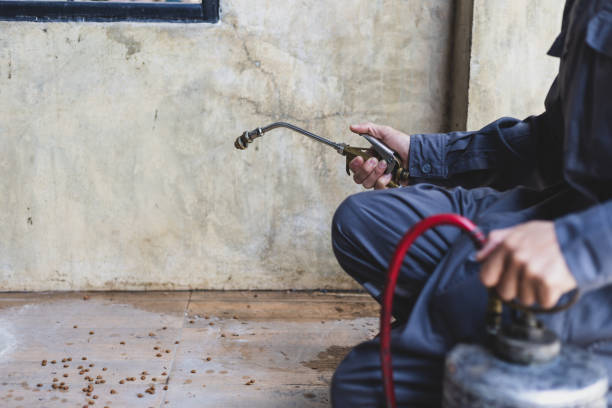 Best Best Pest Control Companies  in Montrose, CO
